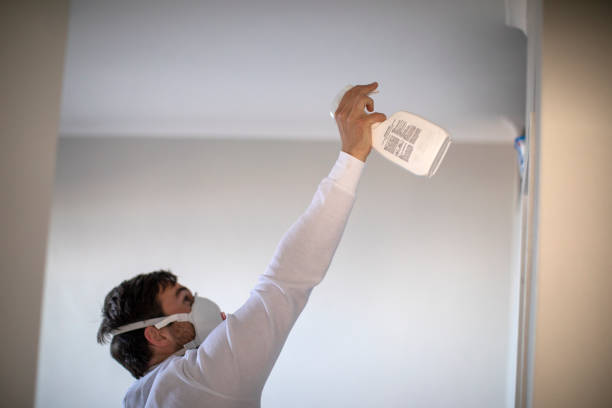 Best Crawl Space Mold Removal  in South Deerfield, MA